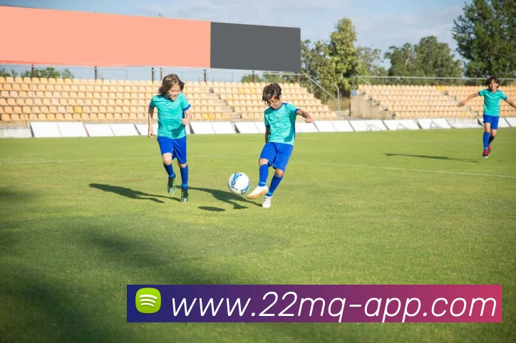 22买球中文APP发展历程